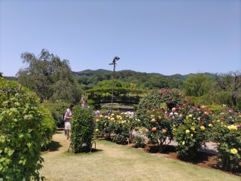 DSC_05401-e1684314854844